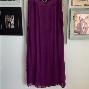 Deep purple, accordion maxi, Sabine- size L